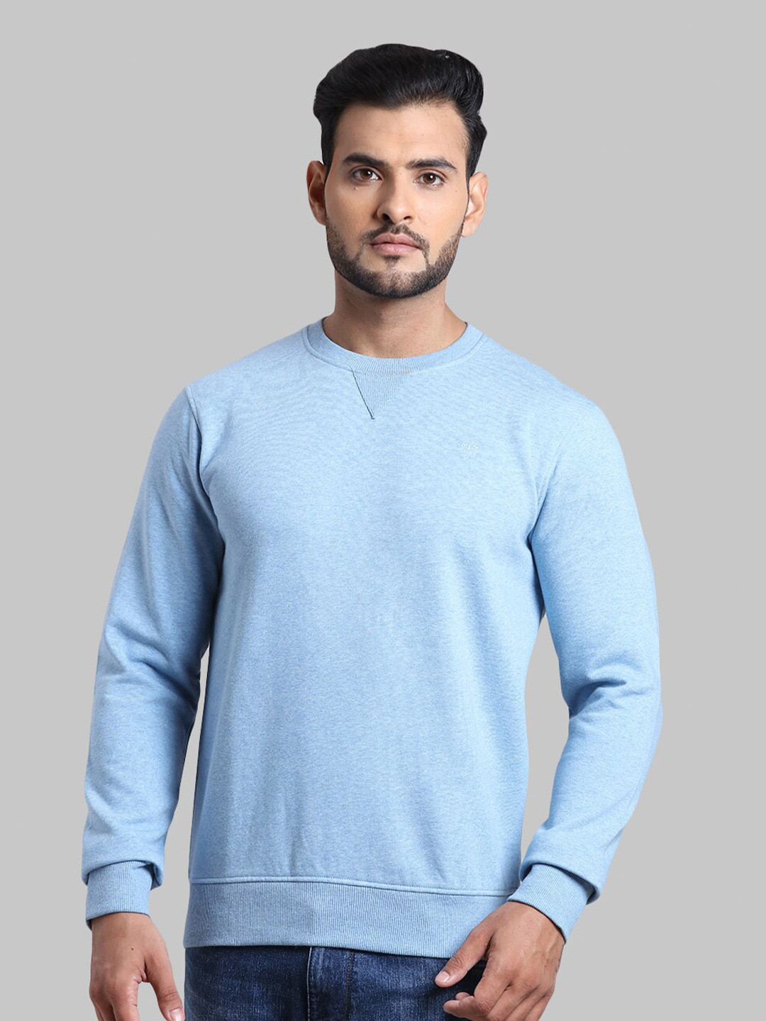 

ColorPlus Plus Size Men Blue Sweatshirt