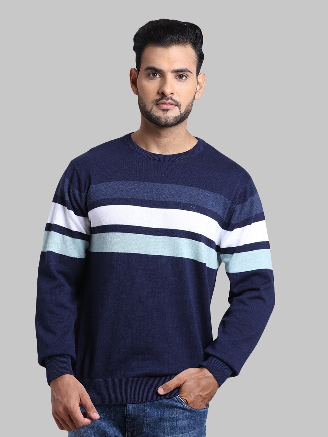 

ColorPlus Men Blue & White Striped Pullover