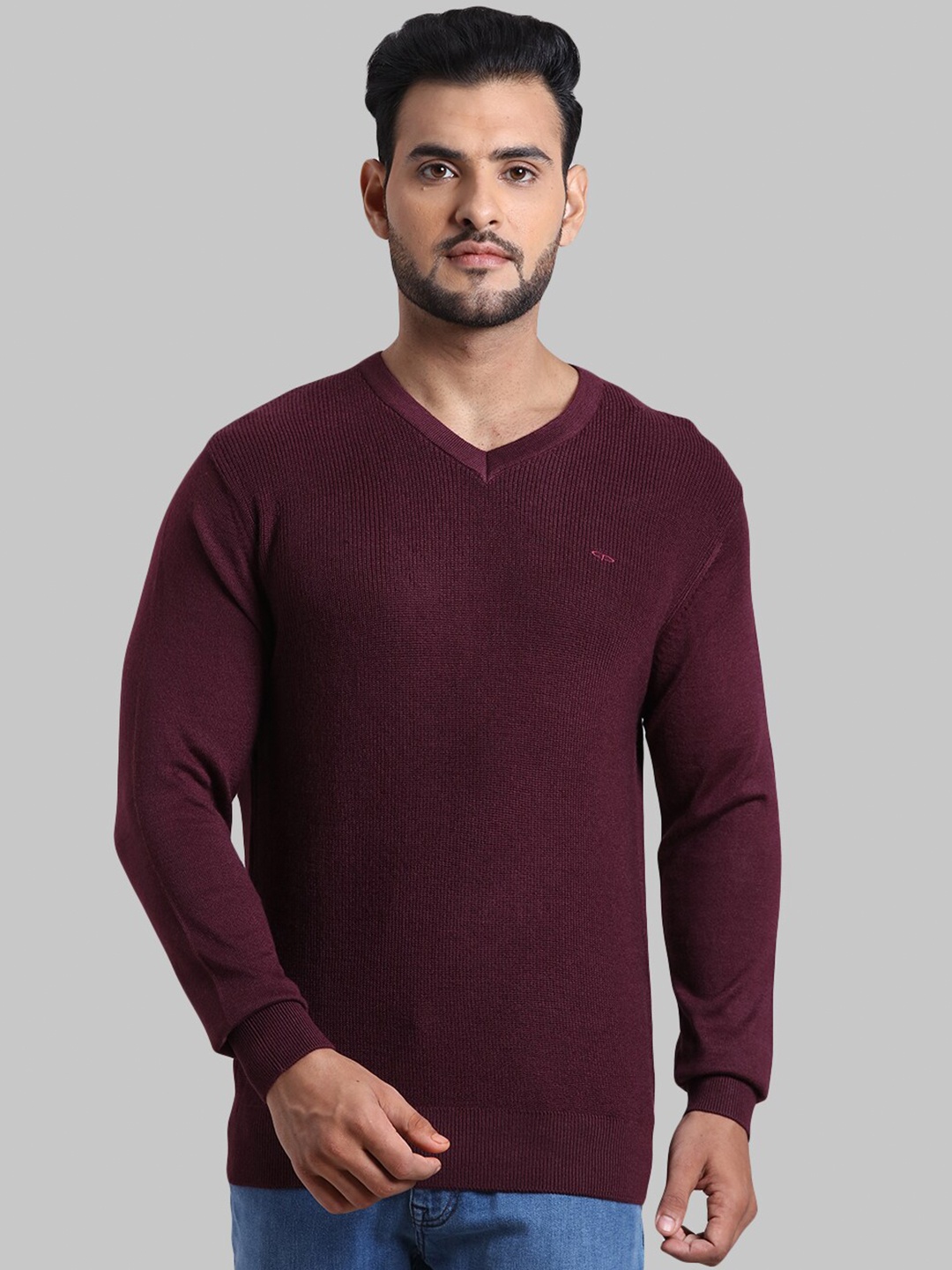 

ColorPlus Men Maroon Pullover