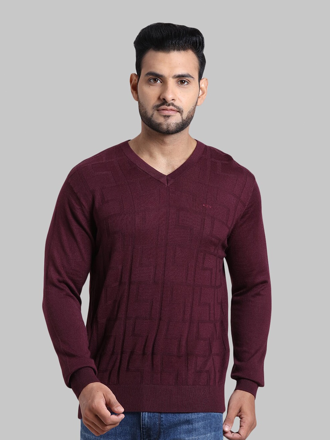 

ColorPlus Men Burgundy Solid Pullover