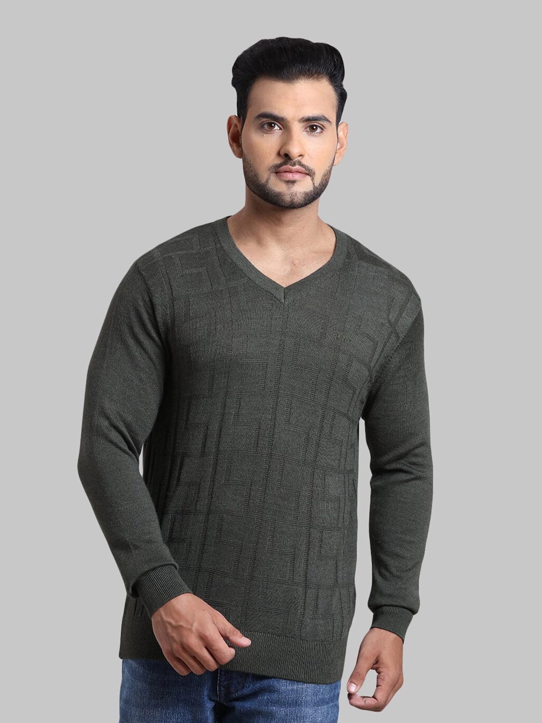 

ColorPlus Men Plus Size Green Acrylic Self Design Pullover Sweater