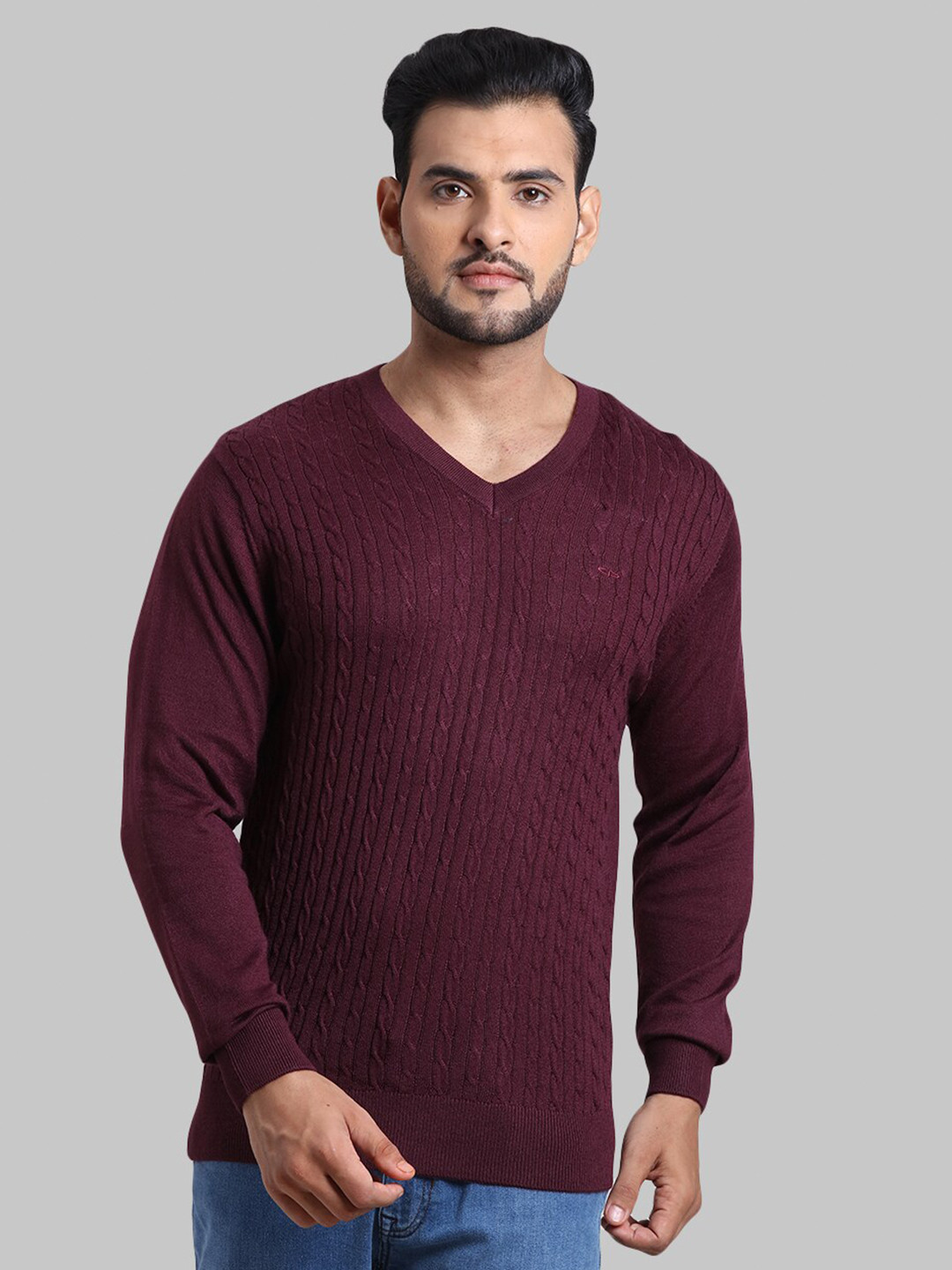 

ColorPlus Men Maroon Pullover