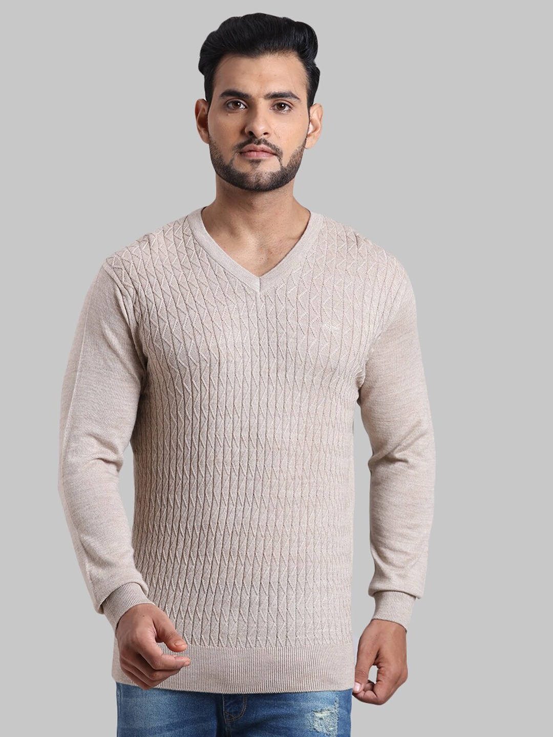 

ColorPlus Men Beige Solid Pullover