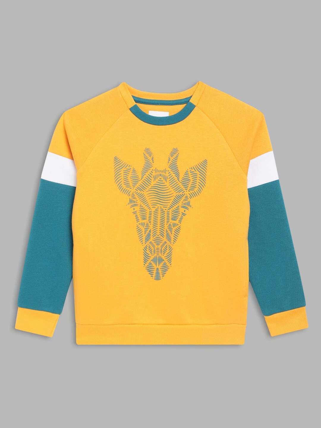 

Blue Giraffe Boys Multicoloured Printed Sweatshirt, Multi