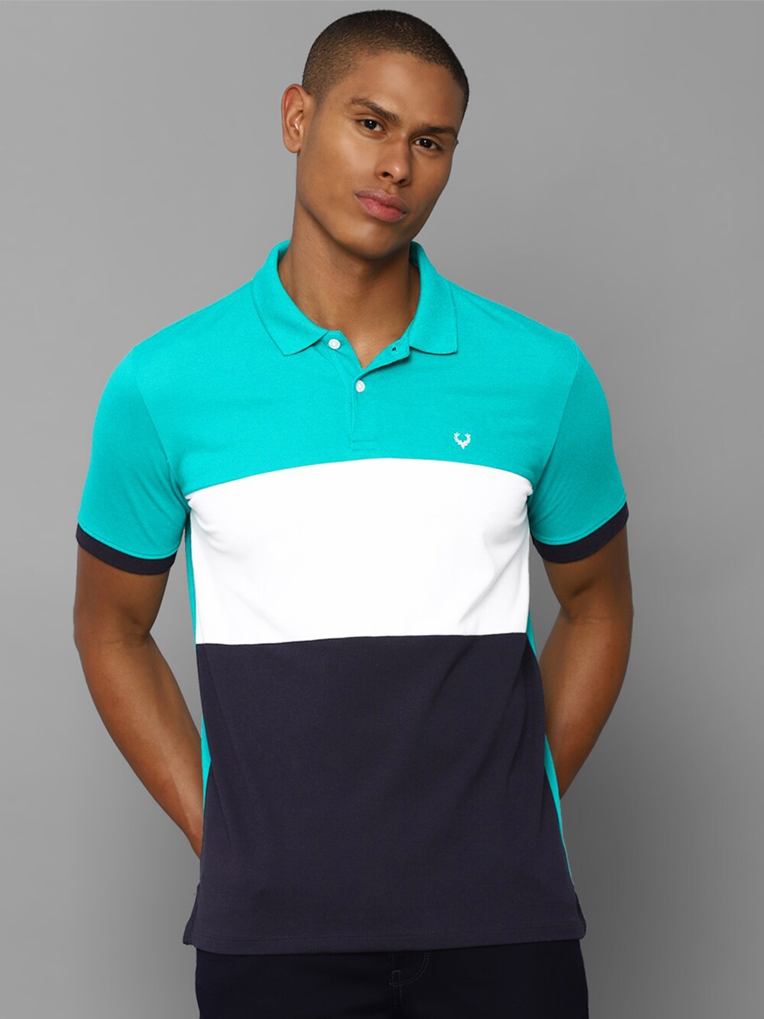 

Allen Solly Men Green Colourblocked Polo Collar T-shirt