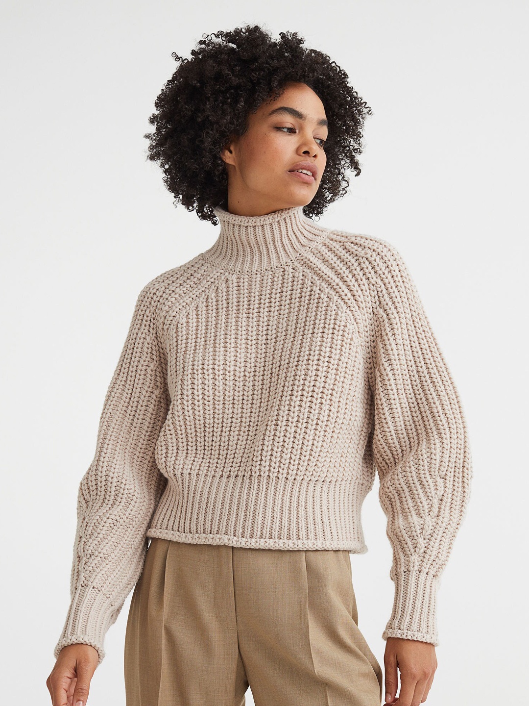 

H&M Women Beige Solid Open Knit Turtle Neck Pullover