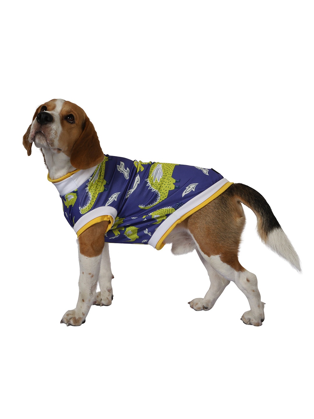 

Pawsindia Blue ^ yellow Graphic Printed Dog Tshirt