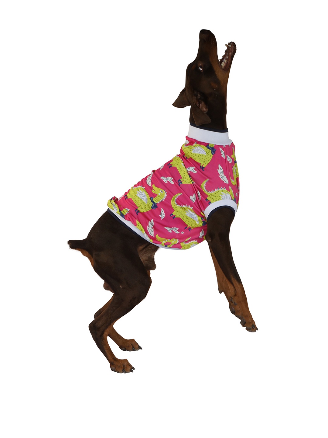 

Pawsindia Pink Graphic Printed Dog Tshirts