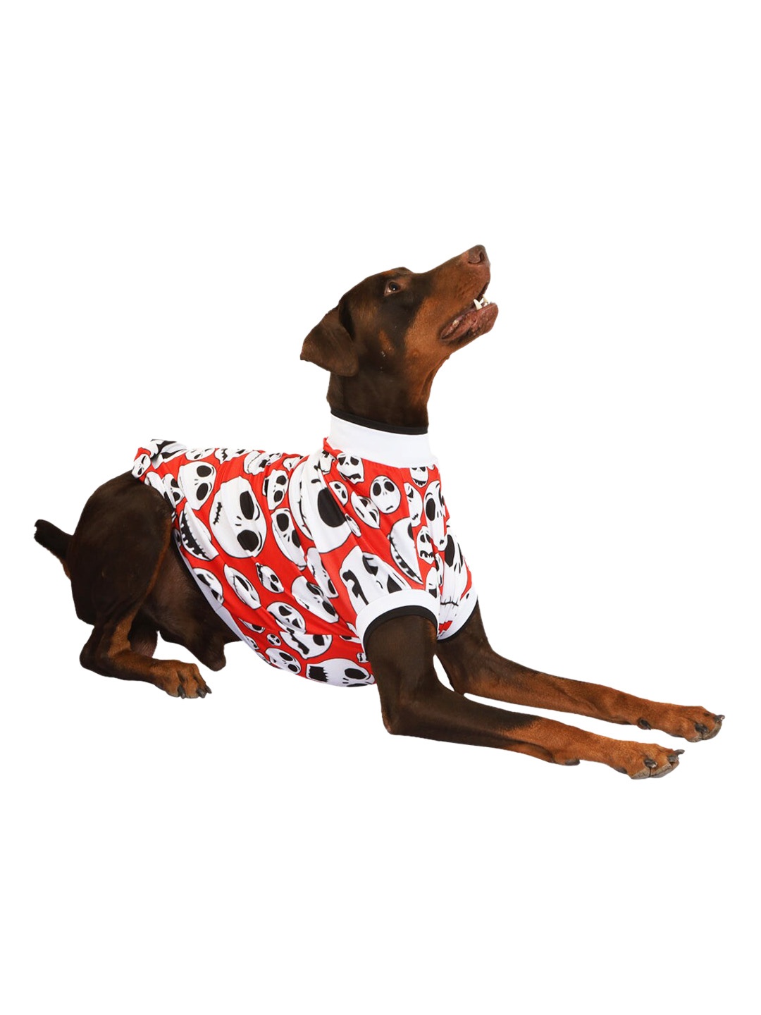 

Pawsindia Red & White Printed Dog T-Shirt