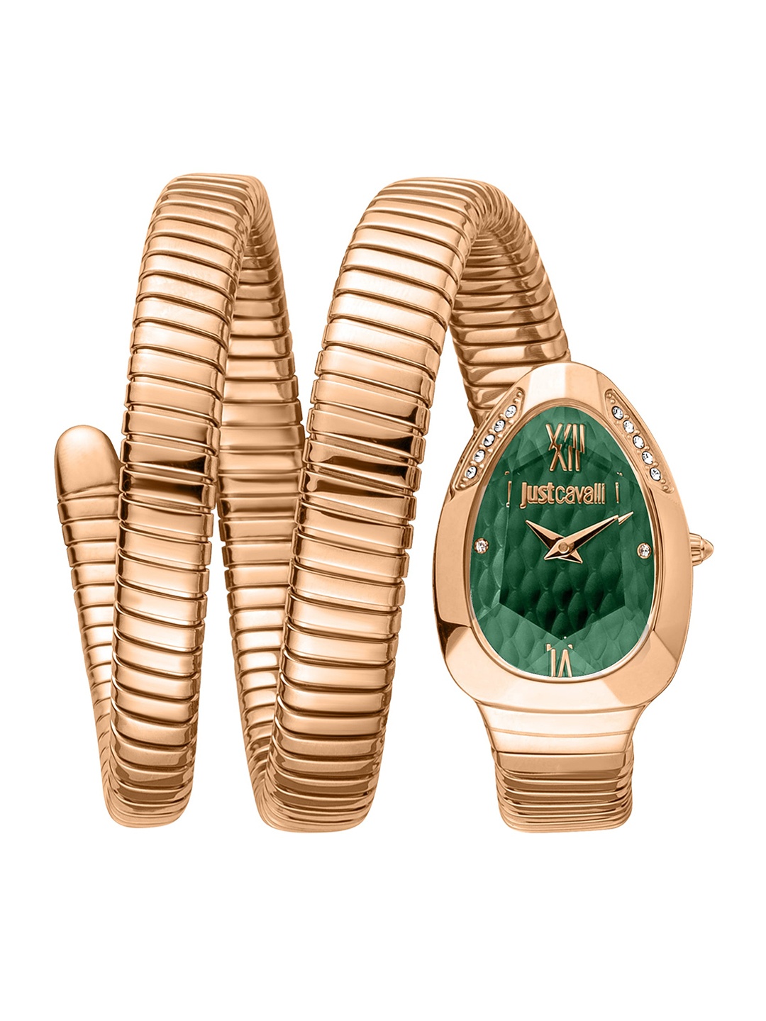 

Just Cavalli Women Rose Gold Color Case JC1L224M0055