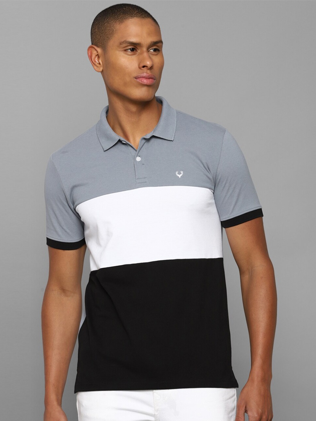 

Allen Solly Men Grey & Black Colourblocked Polo Collar T-shirt