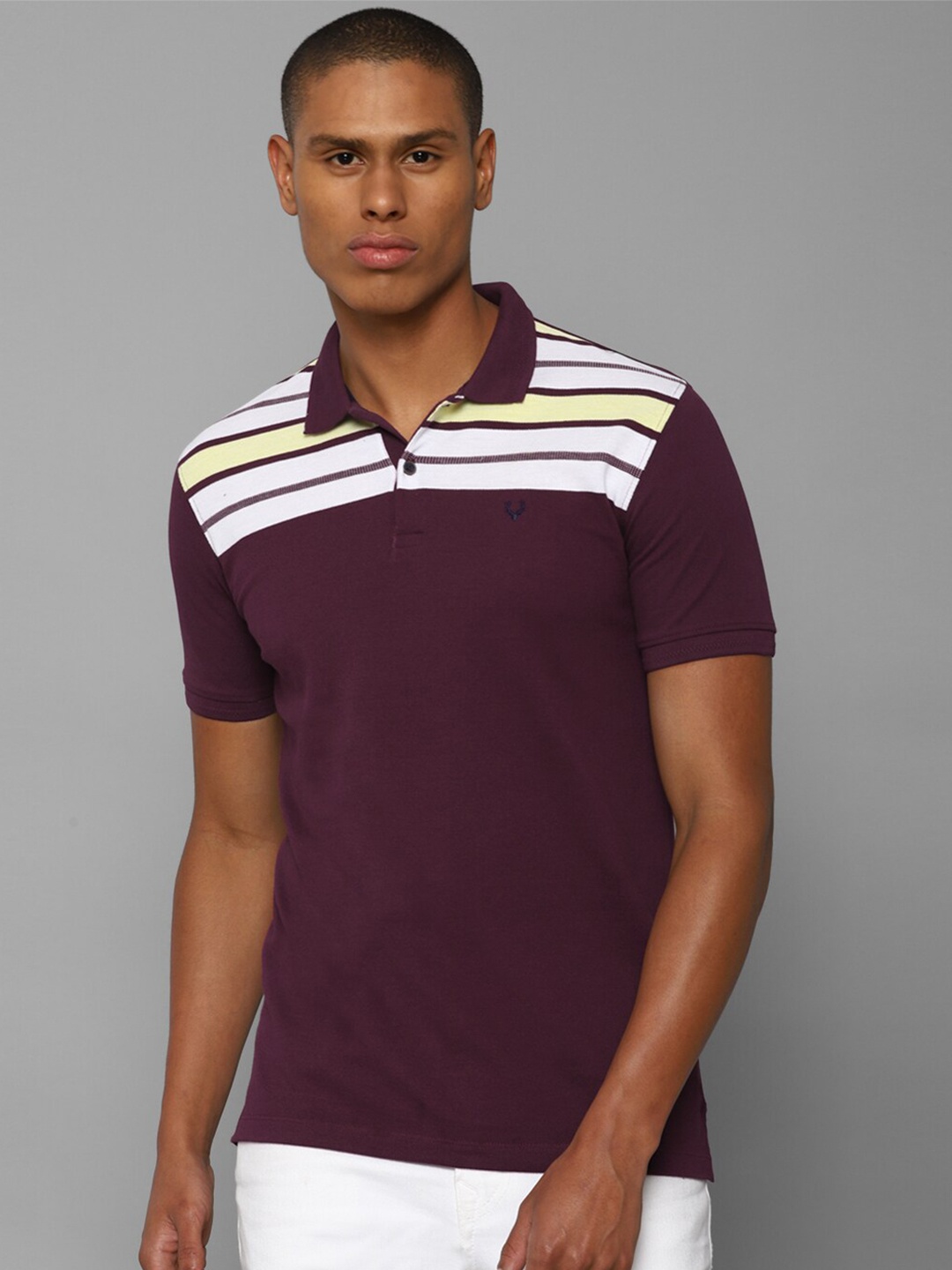 

Allen Solly Men Purple & White Striped Polo Collar Pure cotton T-shirt