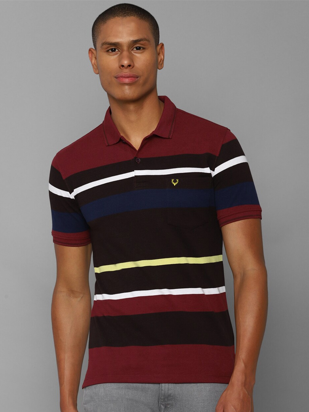 

Allen Solly Men Maroon & Black Striped Cotton Polo Collar T-shirt