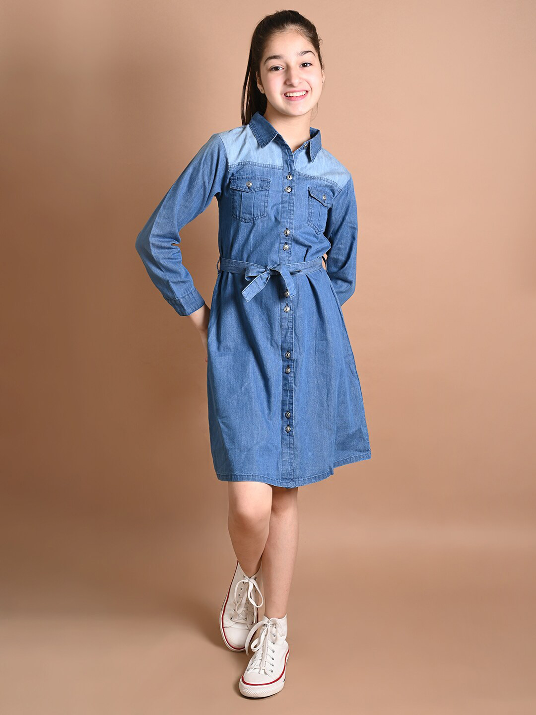 

LilPicks Blue Denim Shirt Dress
