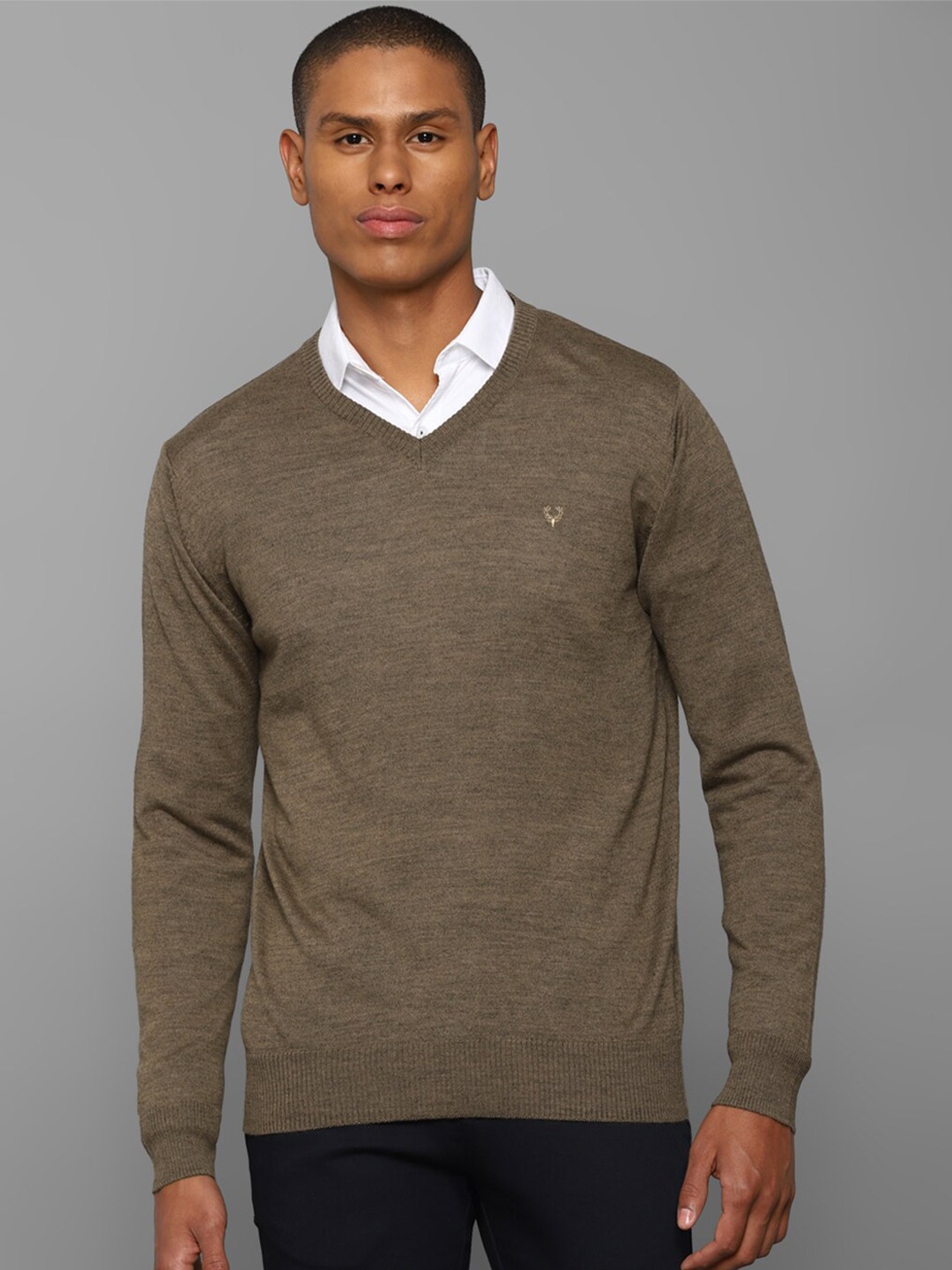 

Allen Solly Men Brown Pullover