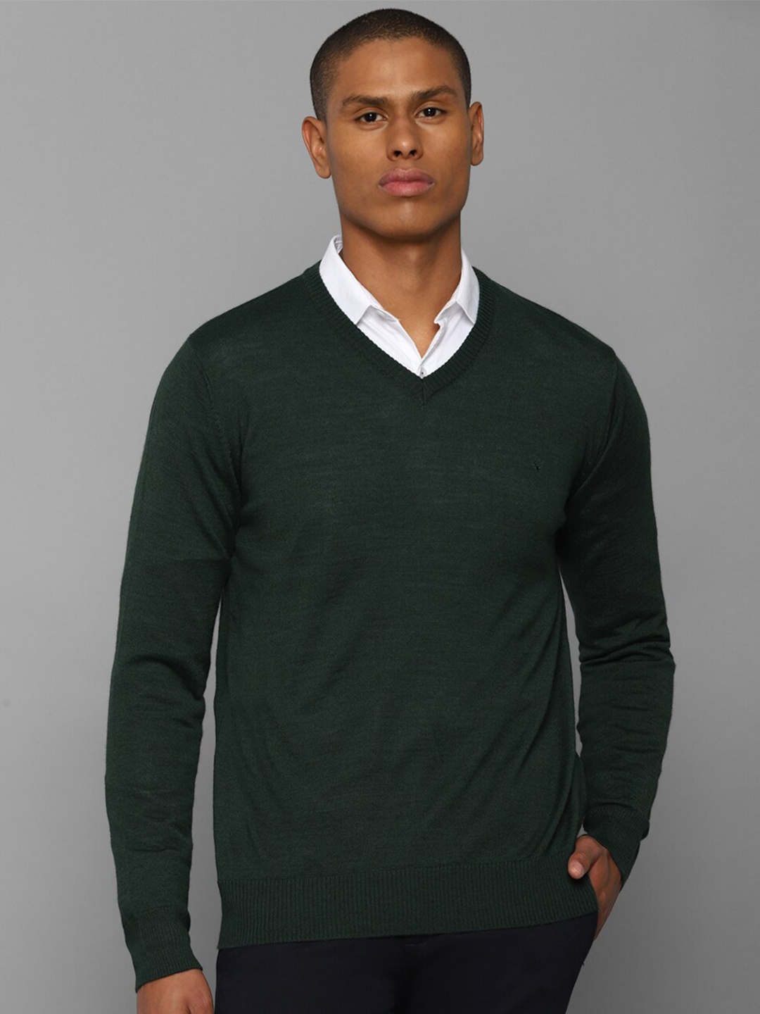 

Allen Solly Men Green Solid Pullover