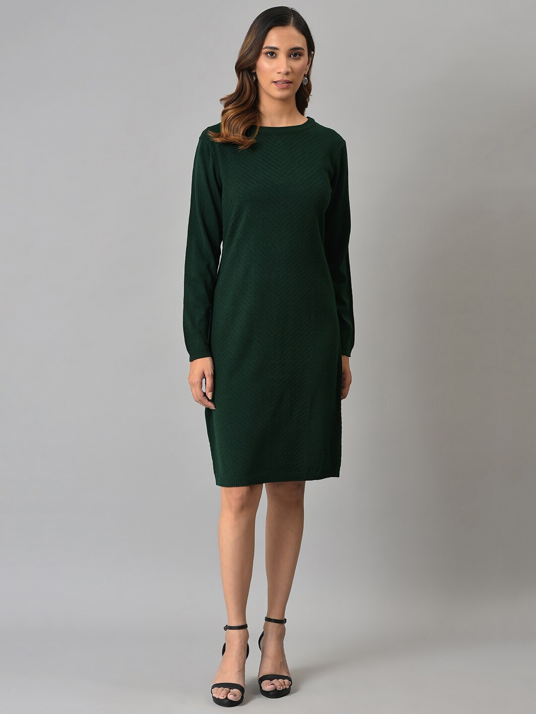 

W Women Green Round Neck Acrylic Sheath Dress