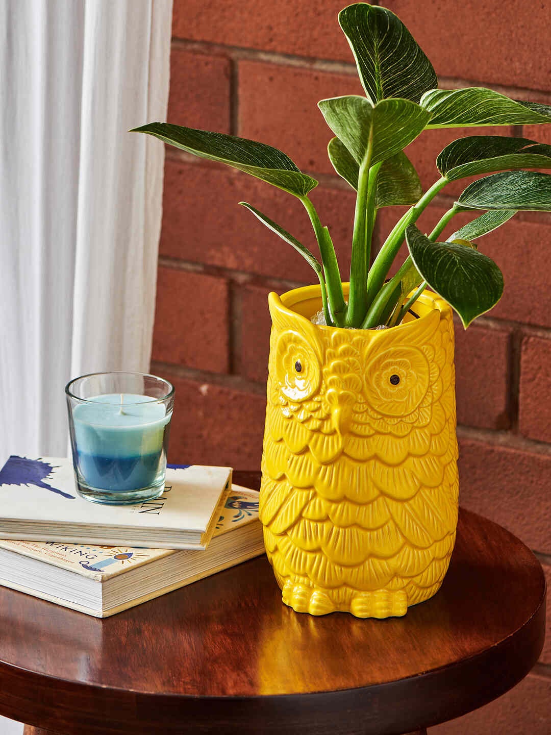 

Chumbak Yellow Textured Ceramic Planters