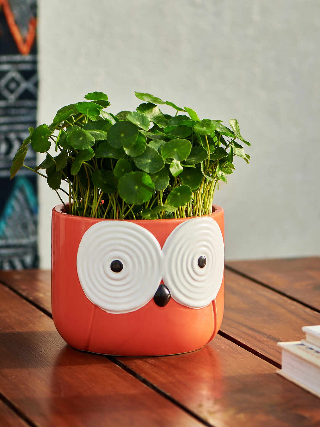 

Chumbak Coral Red Solid Owl Mini Planters