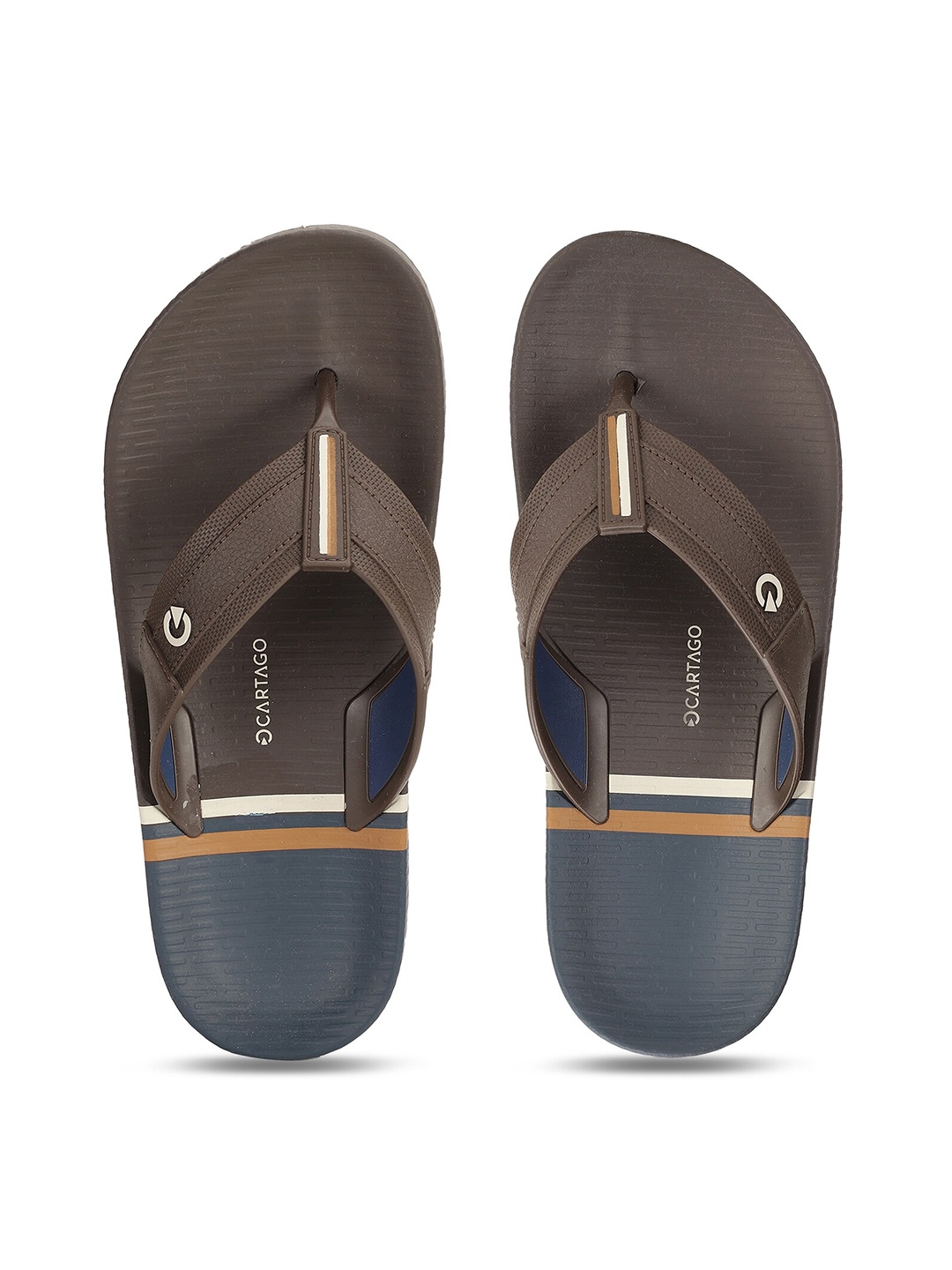 

CARTAGO Men Blue & Brown Thong Flip-Flops
