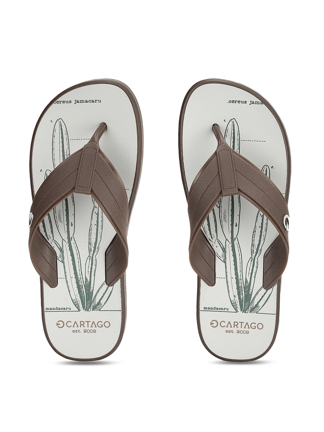 

CARTAGO Men Brown & Off White Thong Flip-Flops