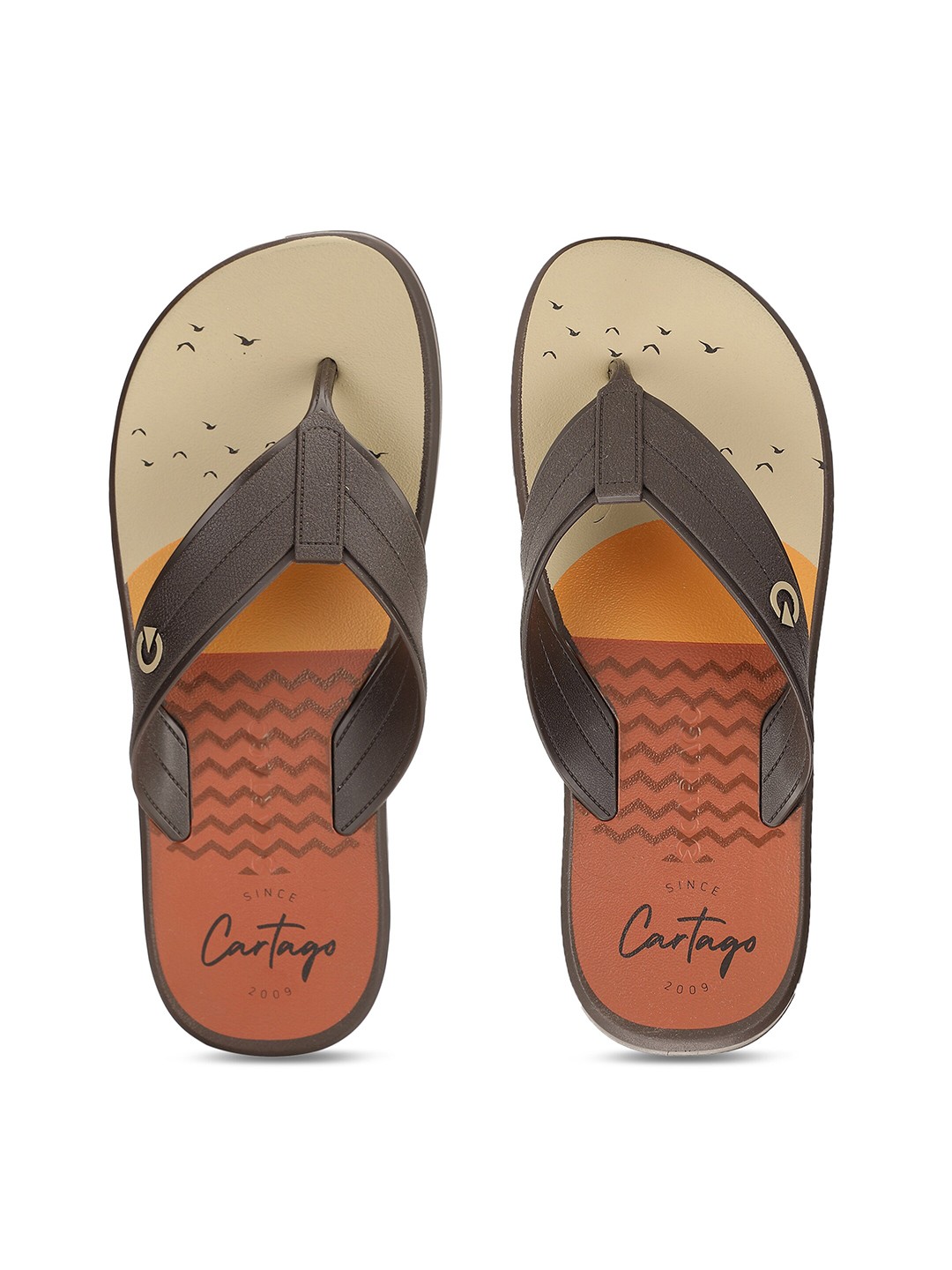 

CARTAGO Men Brown & Grey Colourblocked Thong Flip-Flops