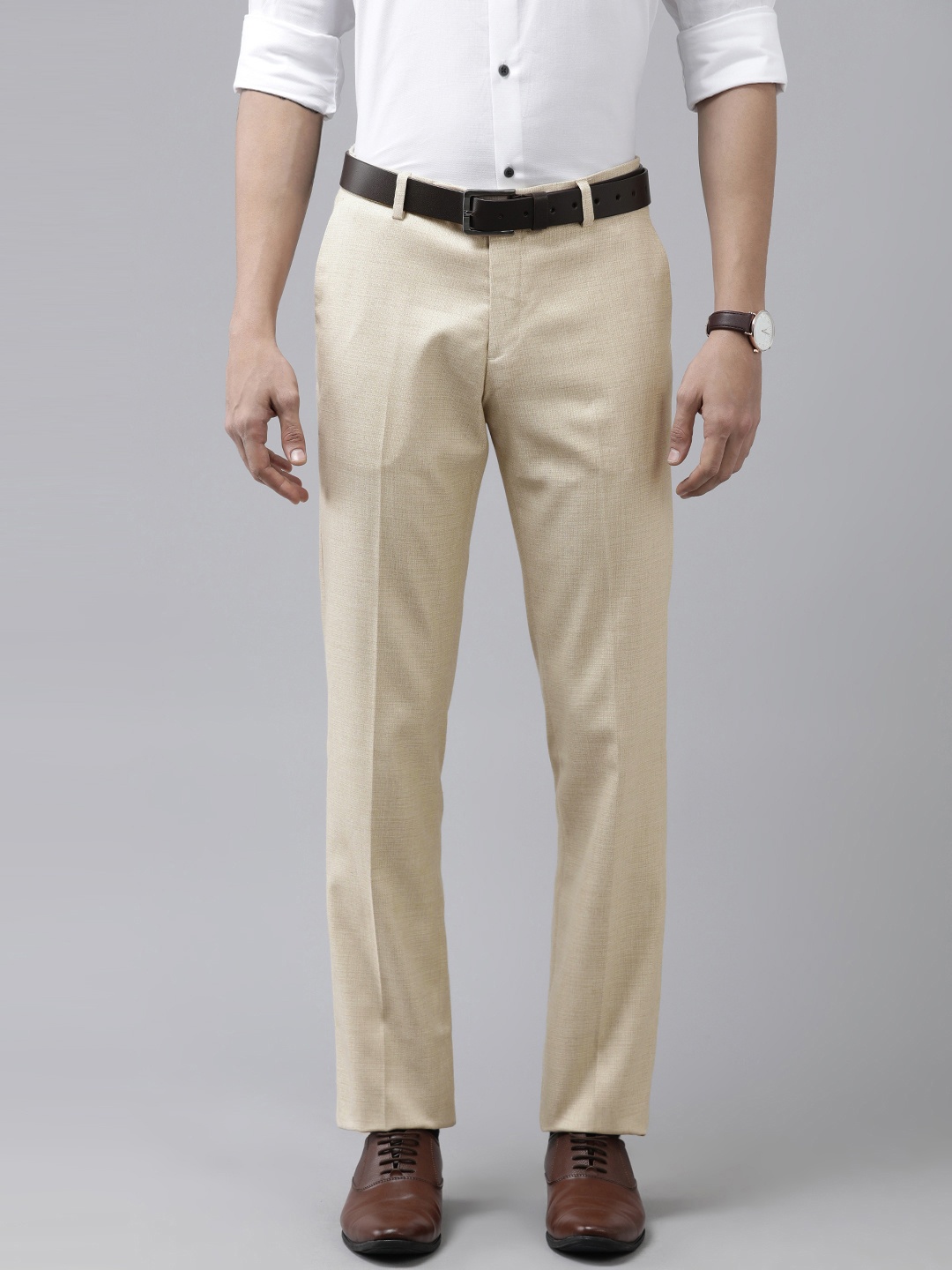 

Arrow Men Beige Textured Self Design Smart Mid-Rise Plain Woven Formal Trousers