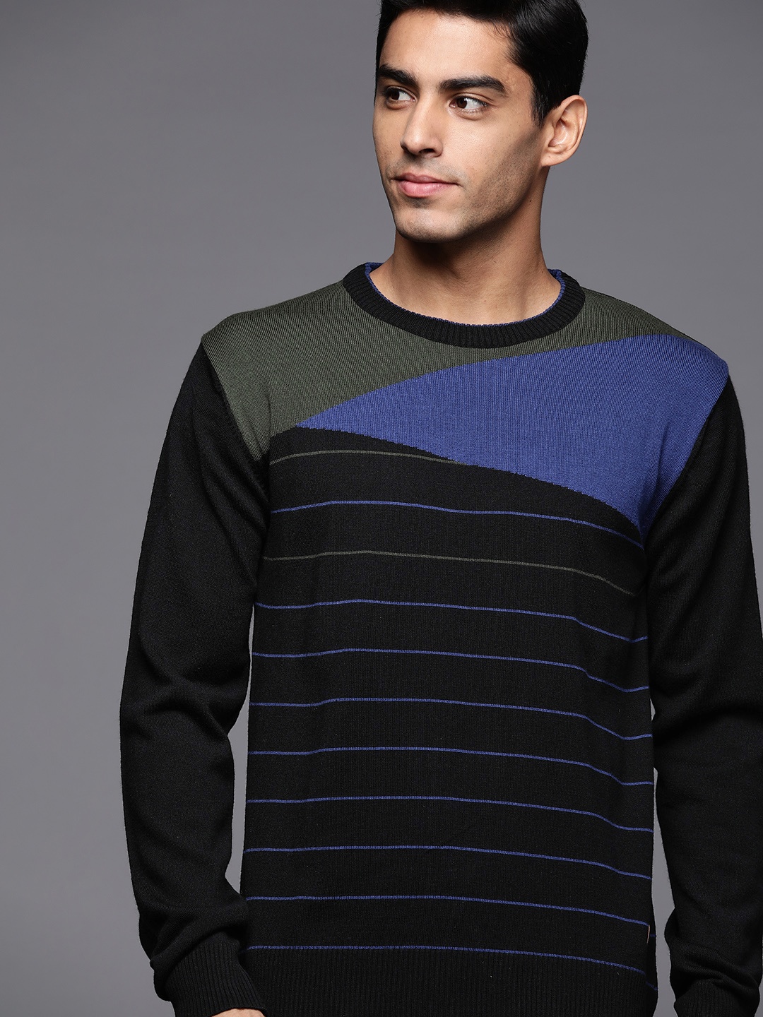 

Raymond Men Navy Blue Striped Pullover