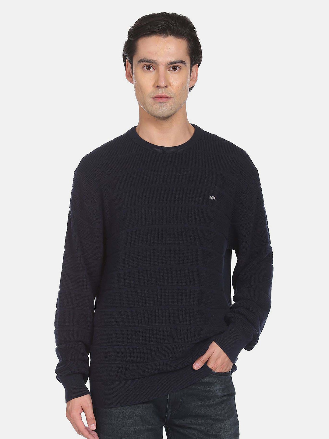 

Arrow Sport Men Blue Ribbed Pullover