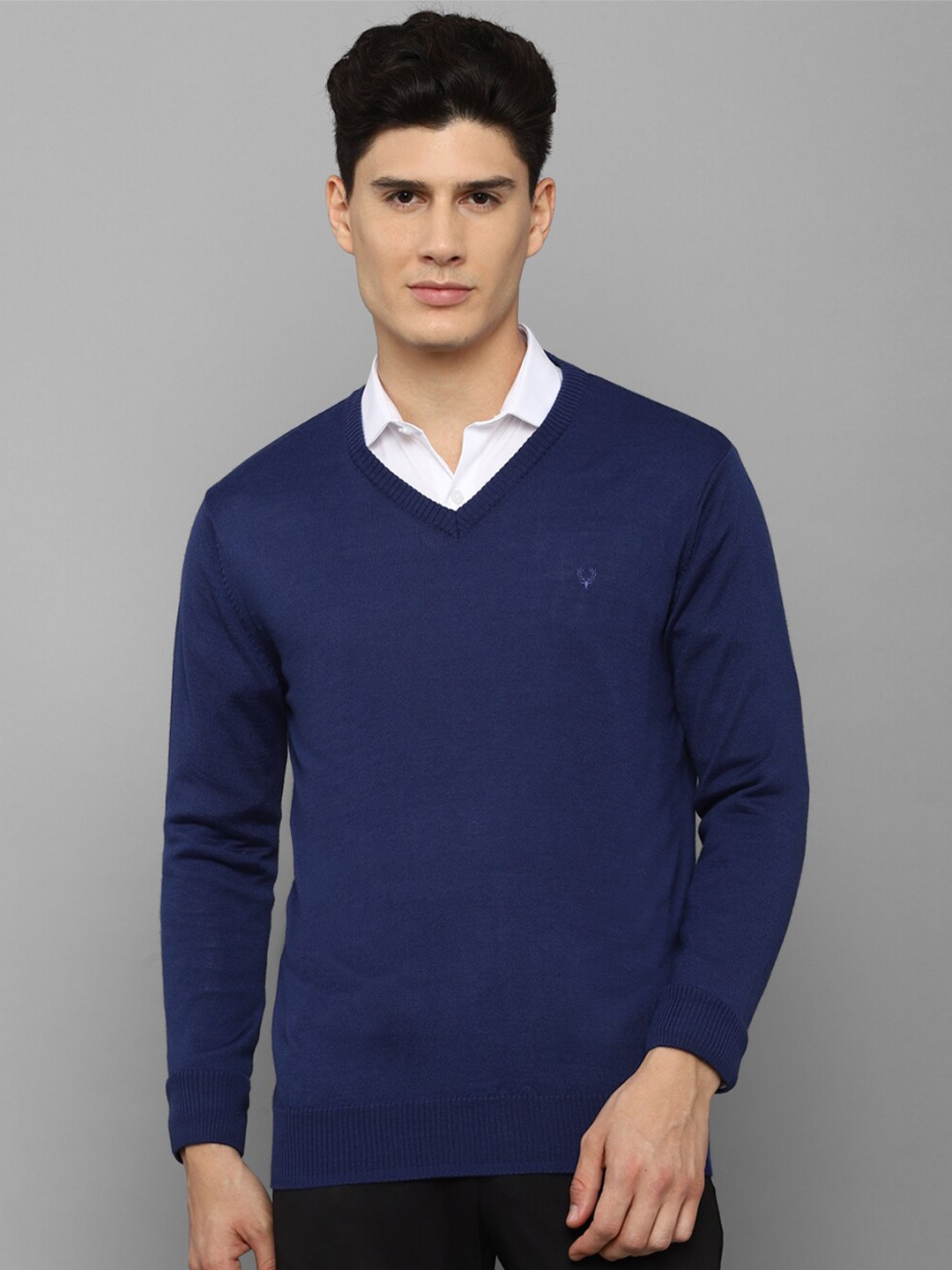 

Allen Solly Men Blue Pullover Sweater