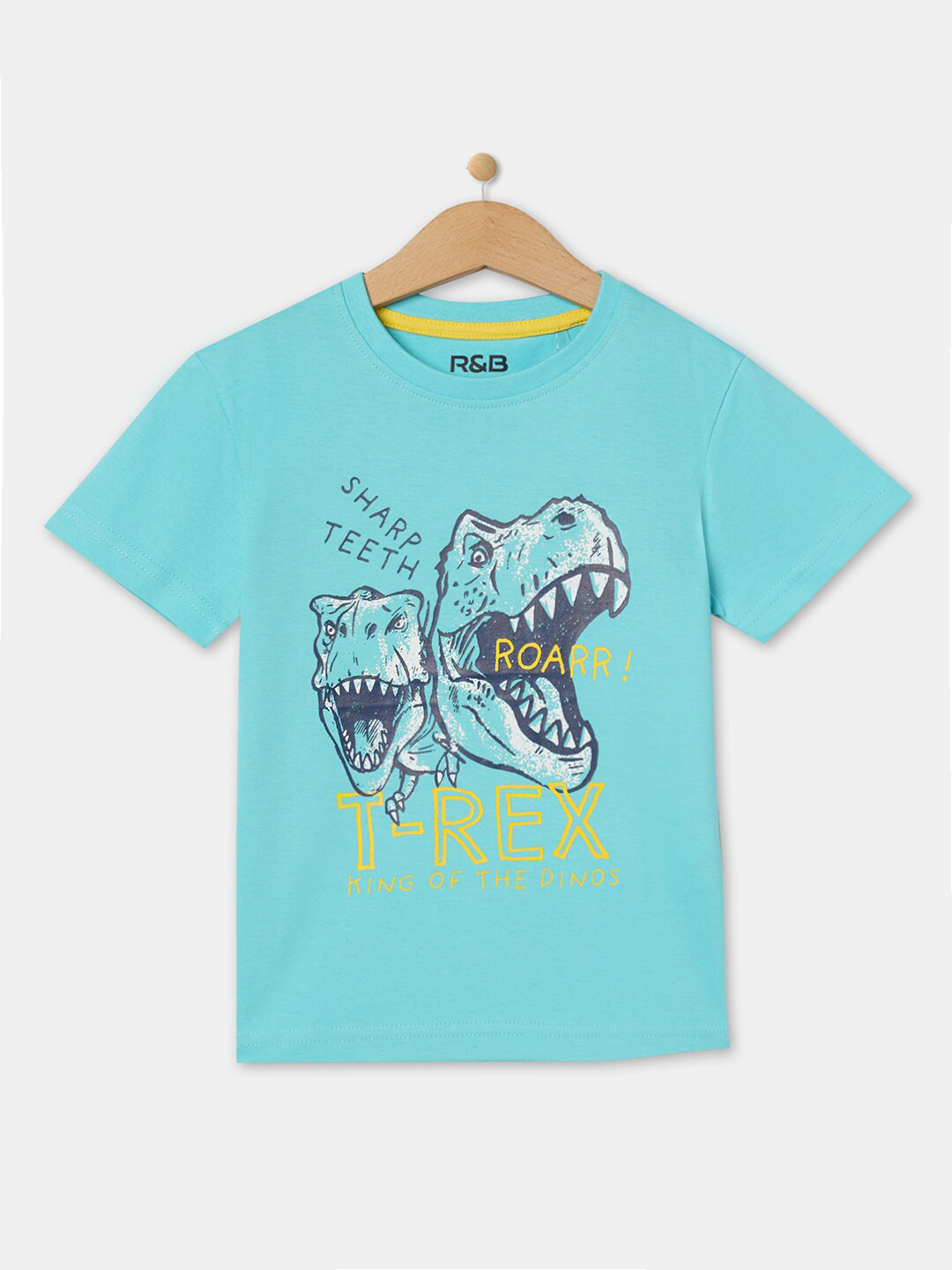 

R&B Boys Blue Graphic Printed T-shirt