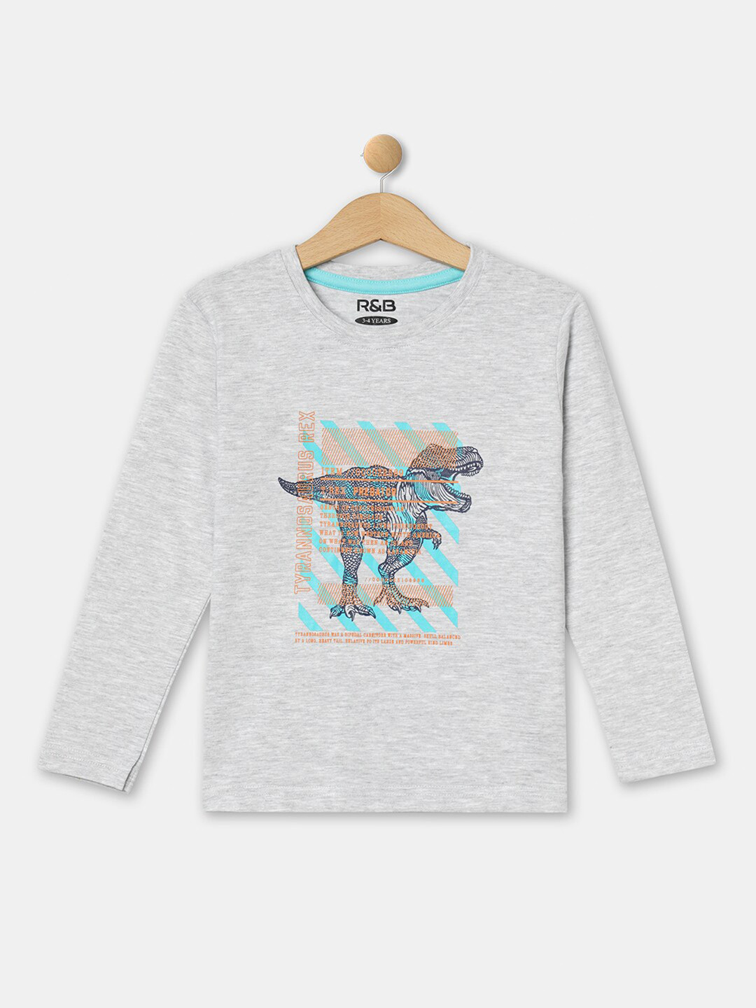 

R&B Boys Grey Melange & Turquoise Blue Graphic Printed T-shirt