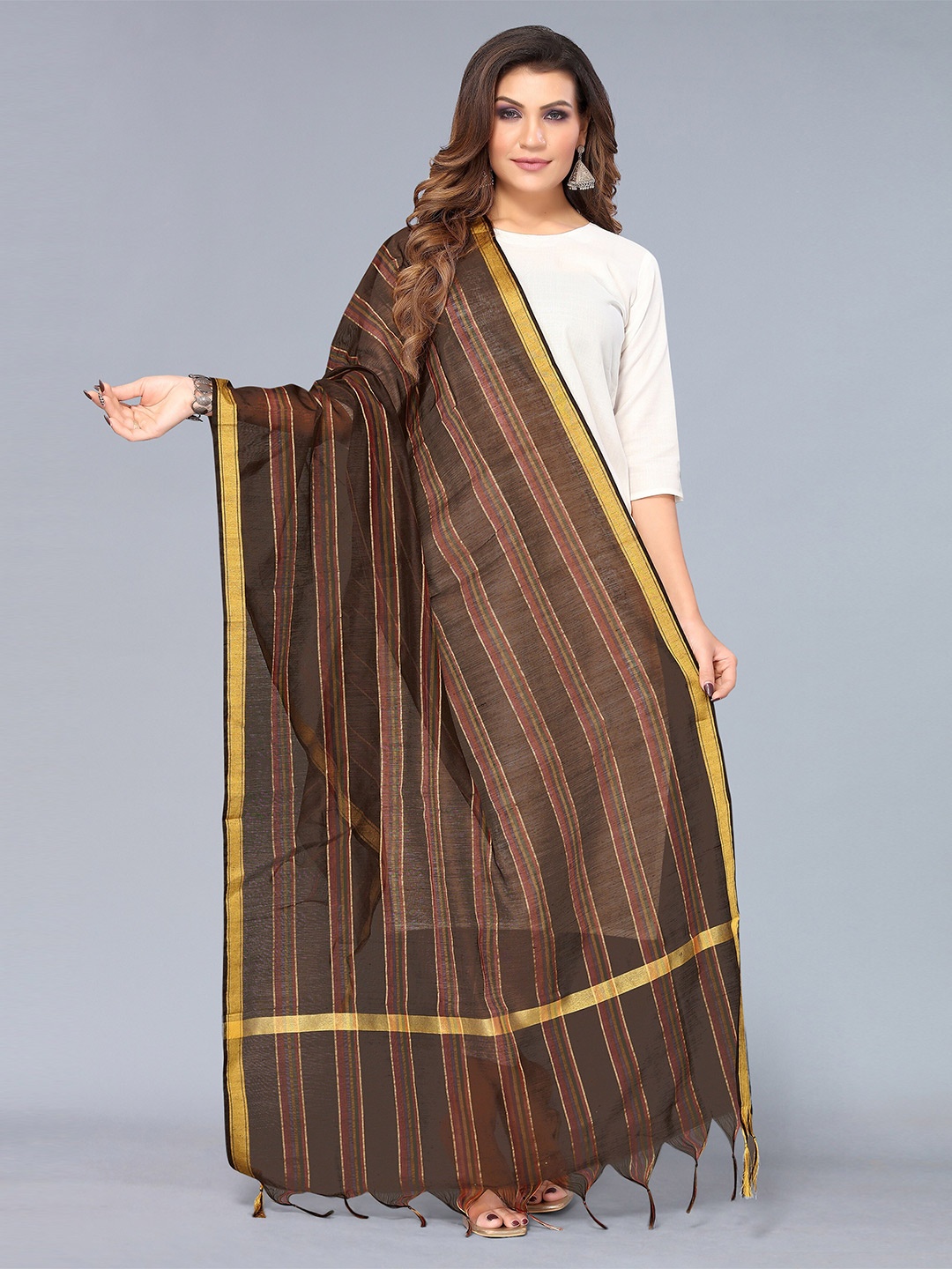

KALINI Women Brown & Gold-Toned Striped Dupatta