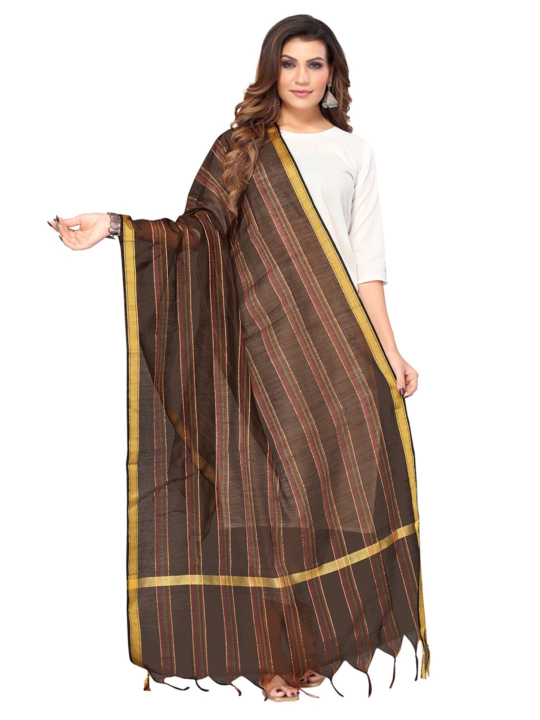 

Nimayaa Women Striped Silk Blend Dupatta, Brown