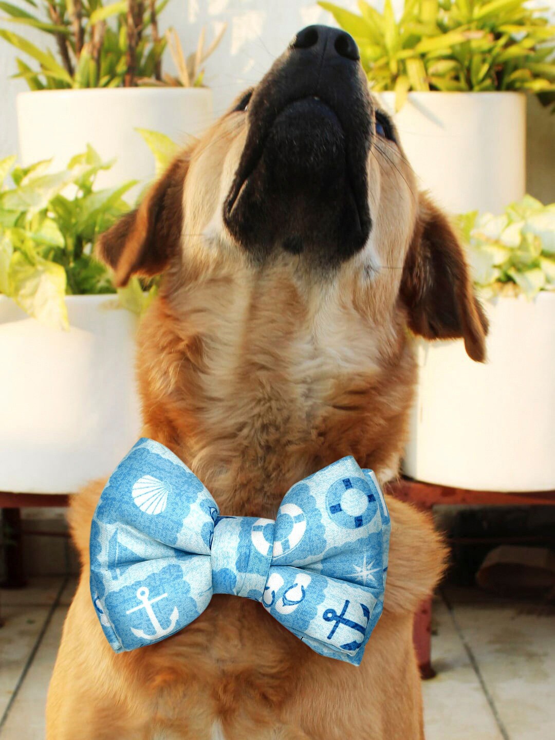 

WIGGLE TWIDDLE Blue Printed Dog Collar