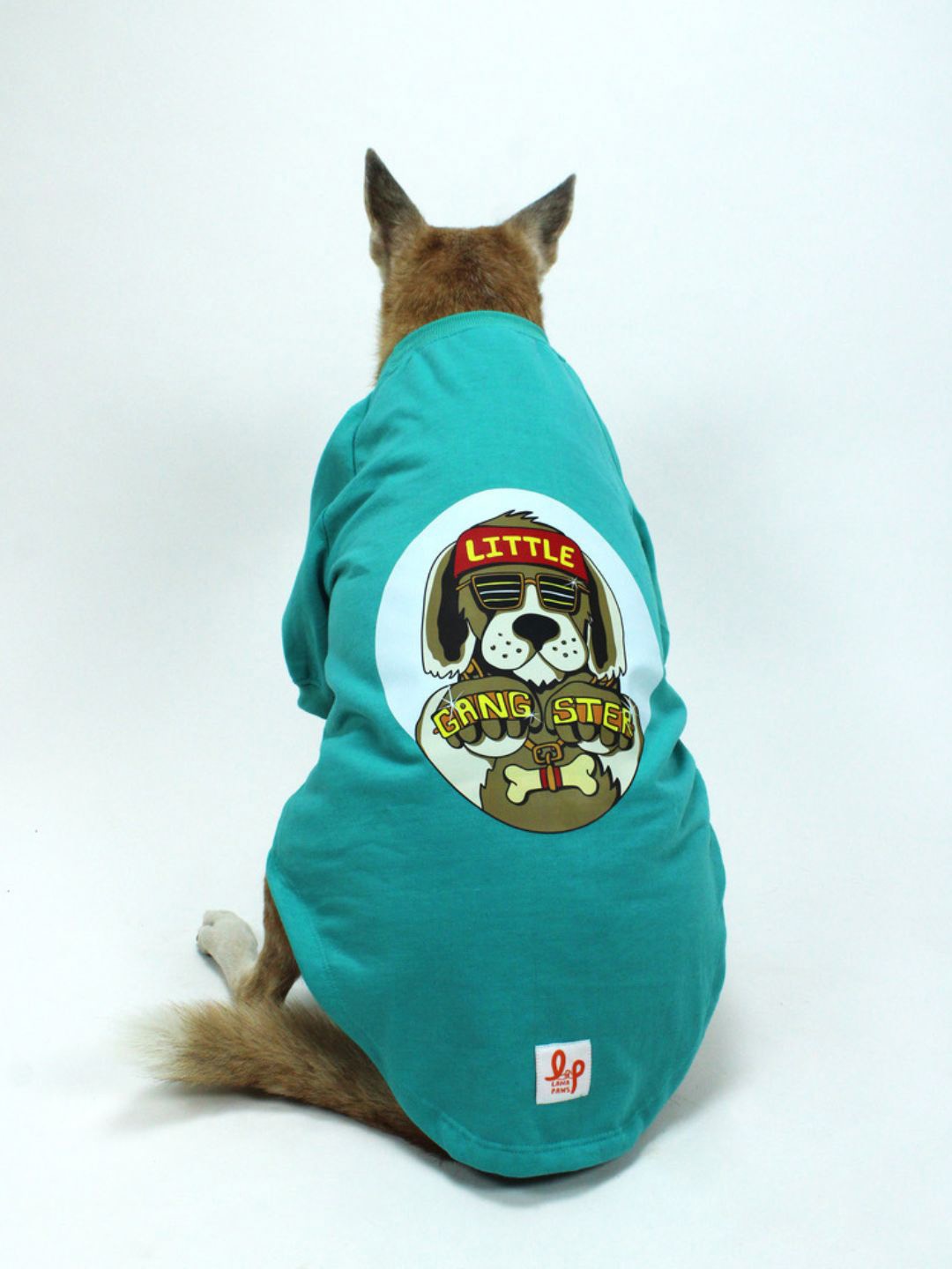 LANA PAWS Turquoise Blue Printed Dog Sweatshirt