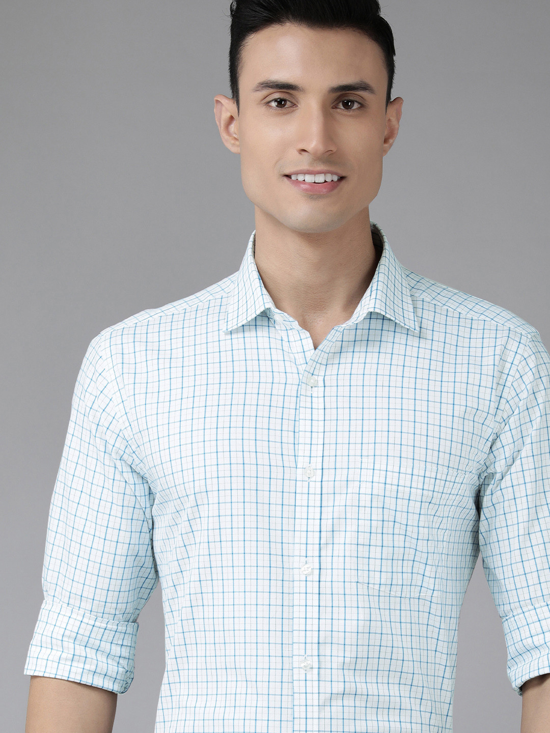 

Park Avenue Men Blue & White Slim Fit Checked Pure Cotton Formal Shirt