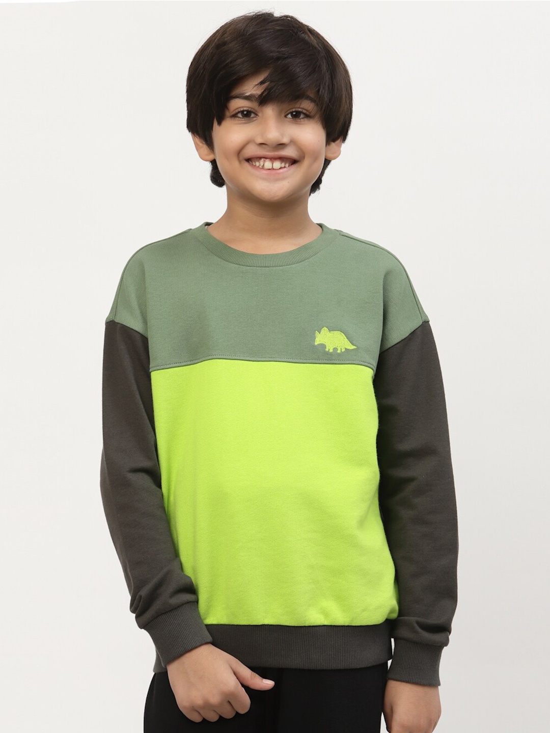 

SPUNKIES Boys Green Colourblocked Sweatshirt