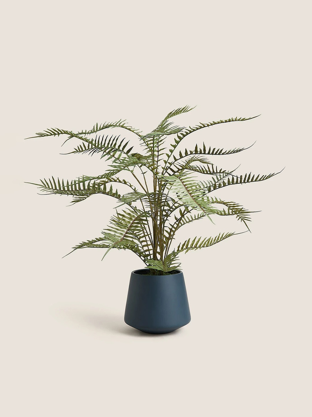 

Marks & Spencer Green & Blue Plastic Fern In Pot