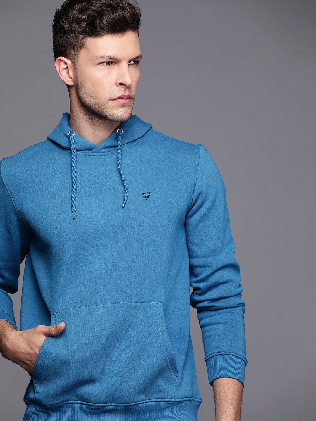 

Allen Solly Men Blue Hooded Solid Sweatshirt