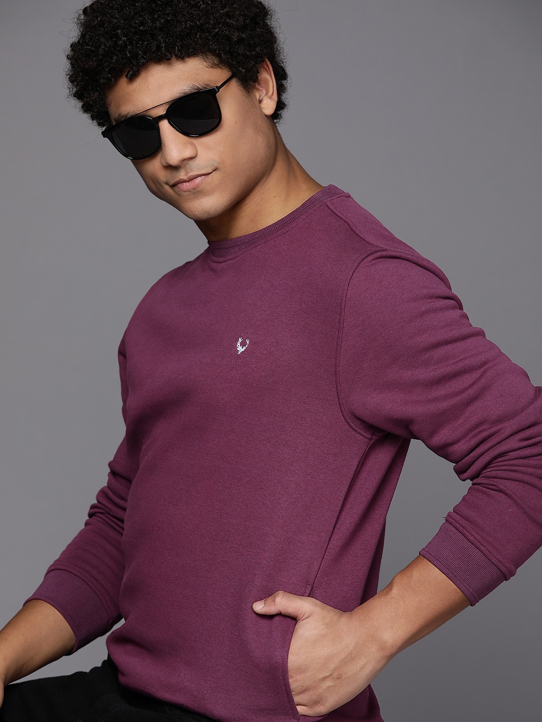 

Allen Solly Men Burgundy Solid Sweatshirt