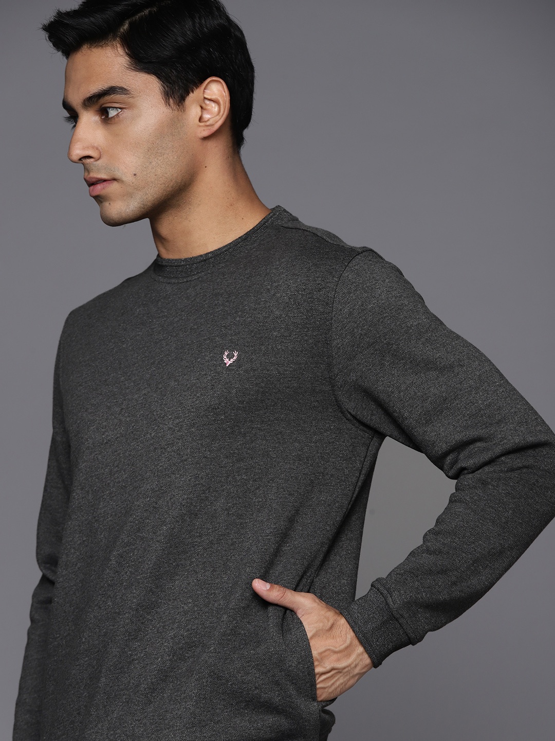 

Allen Solly Men Charcoal Grey Solid Sweatshirt
