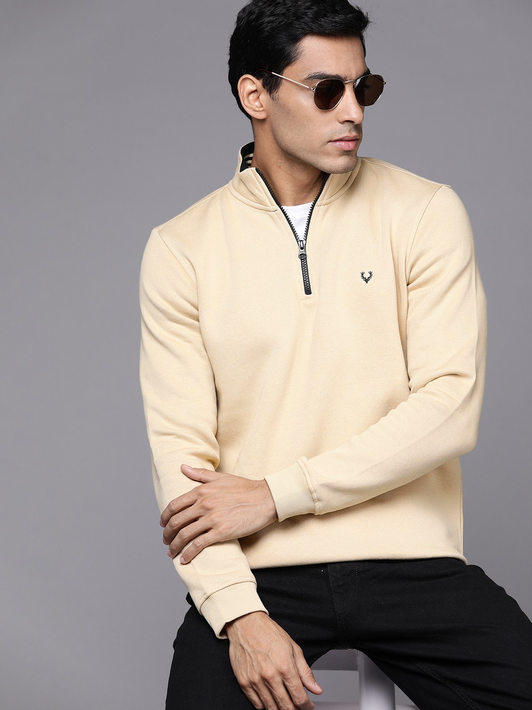 

Allen Solly Men Beige Solid Sweatshirt