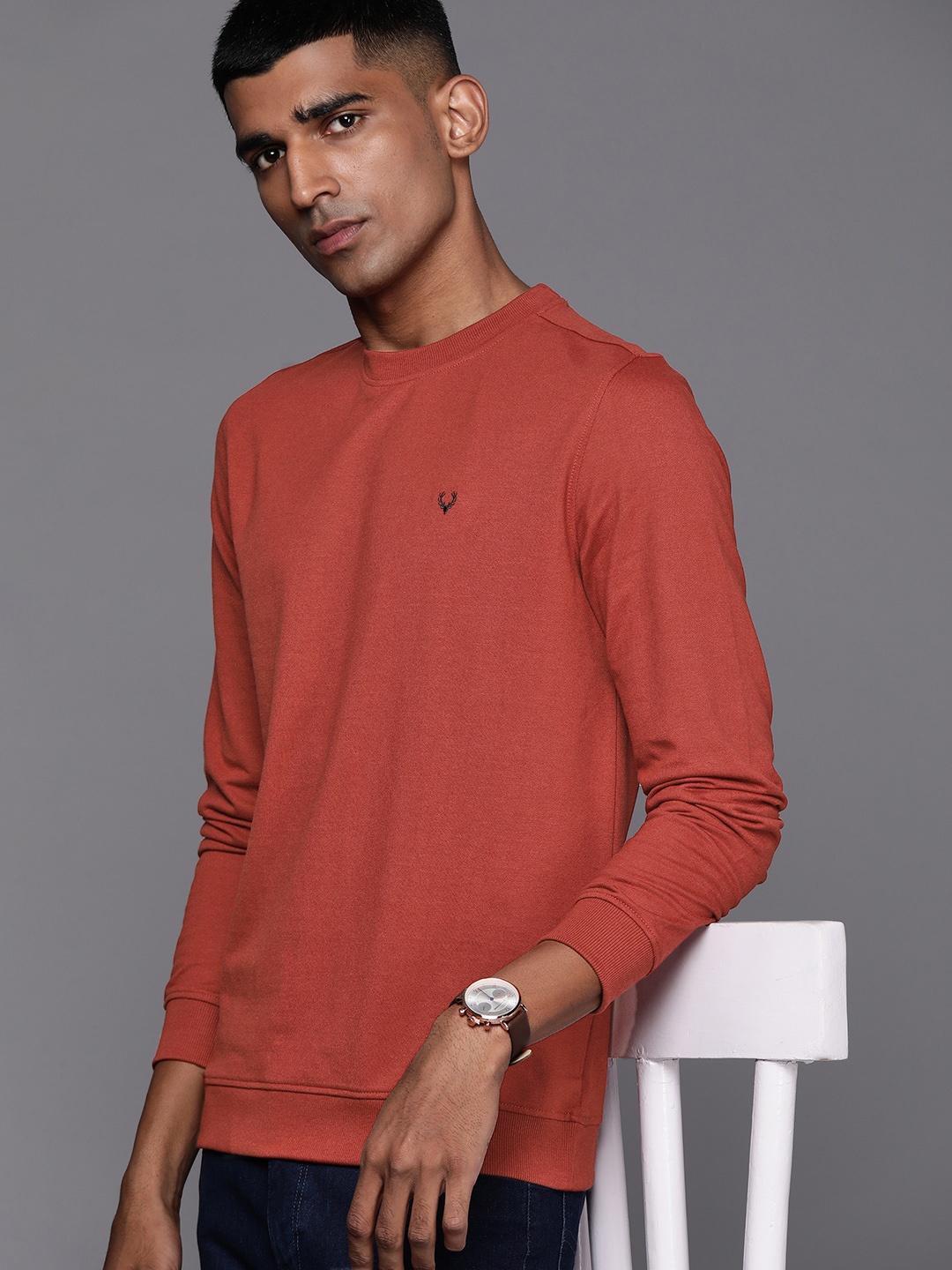 

Allen Solly Men Rust Brown Solid Sweatshirt