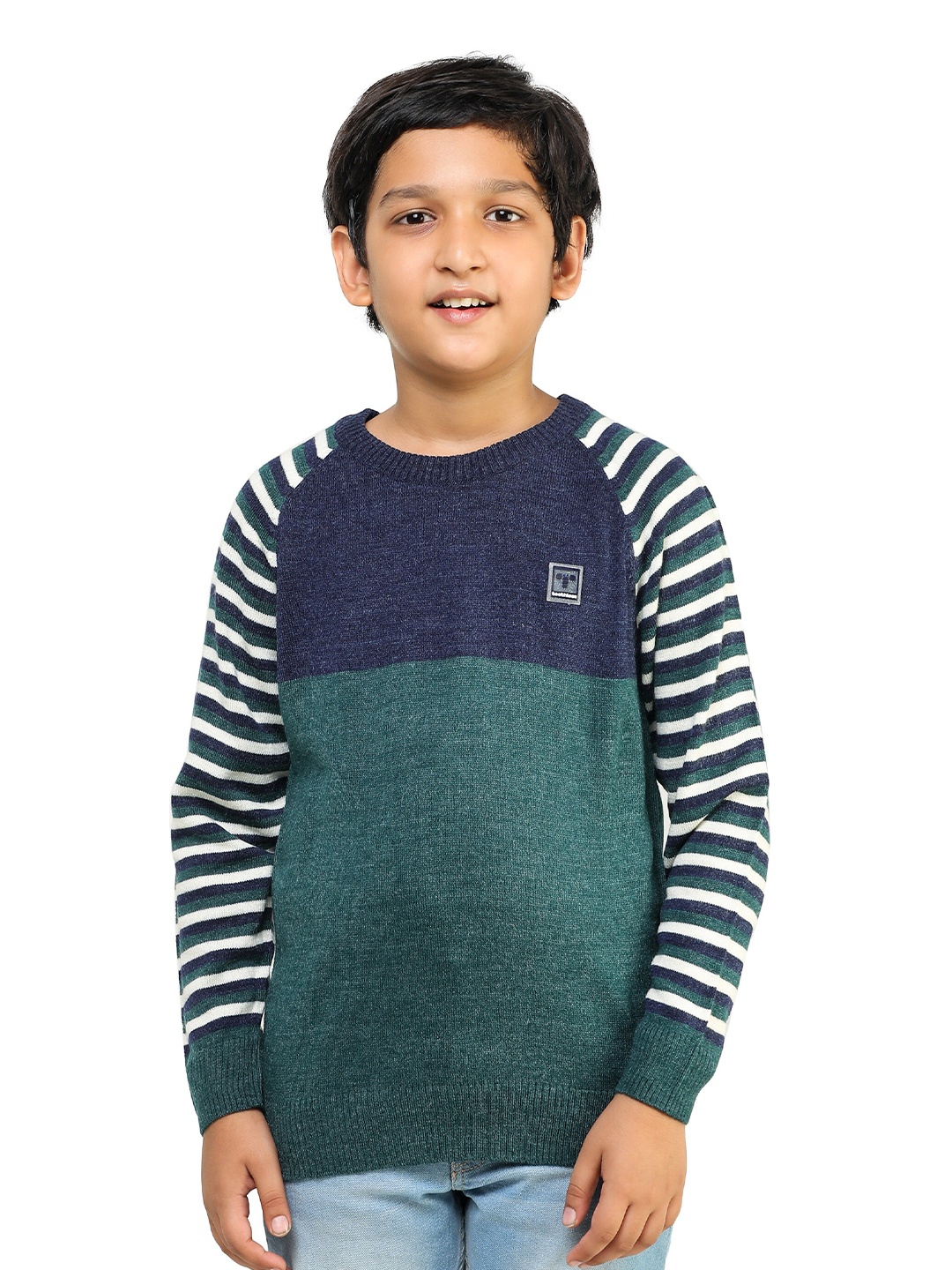 

toothless Boys Blue Green Pullover Sweater