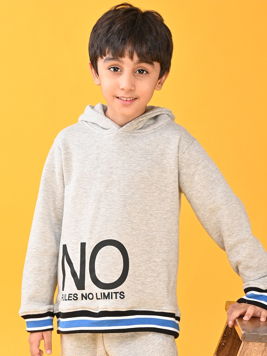 

Anthrilo Boys Grey Printed Hooded Sweatshirt