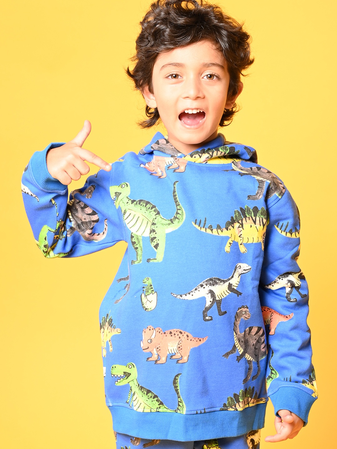 

Anthrilo Boys Blue Printed Hooded Sweatshirt