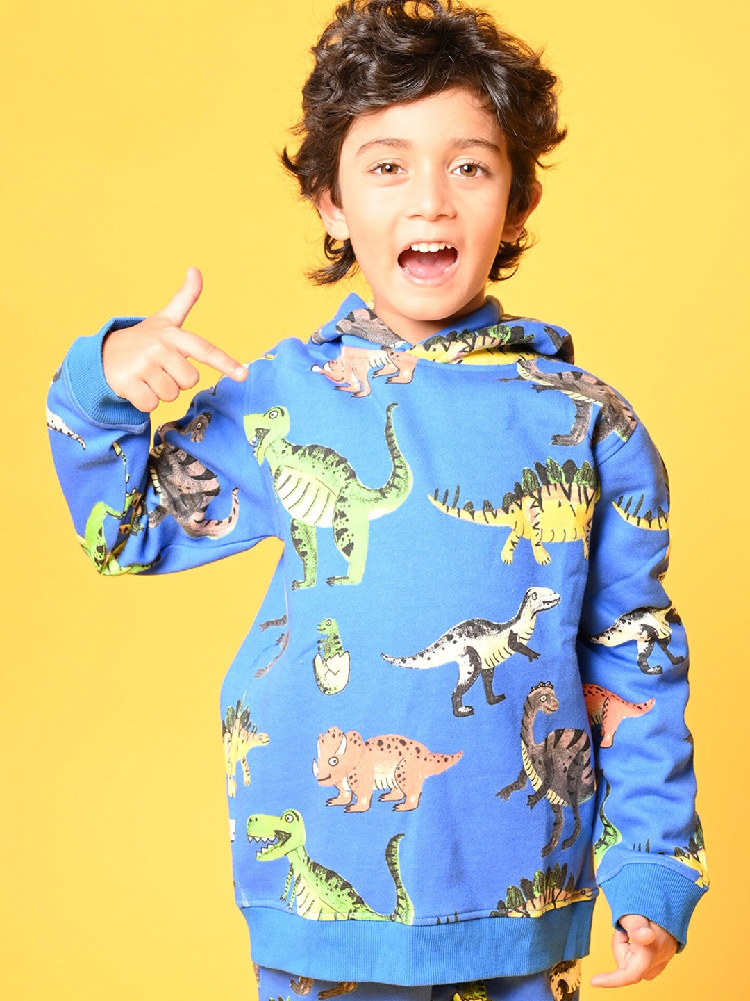 

Anthrilo Boys Blue Printed Hooded Fleece Sweatshirt