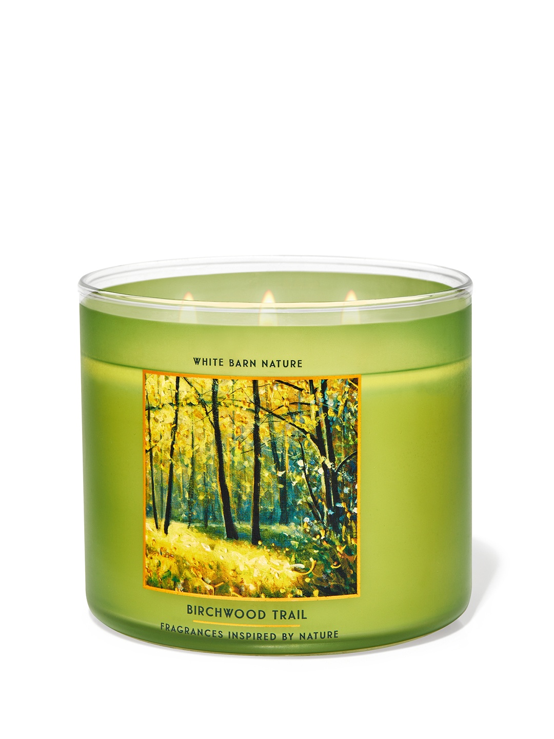 

Bath & Body Works Birchwood Trail 3-Wick Scented Candle with Essential Oils - 411g, Green