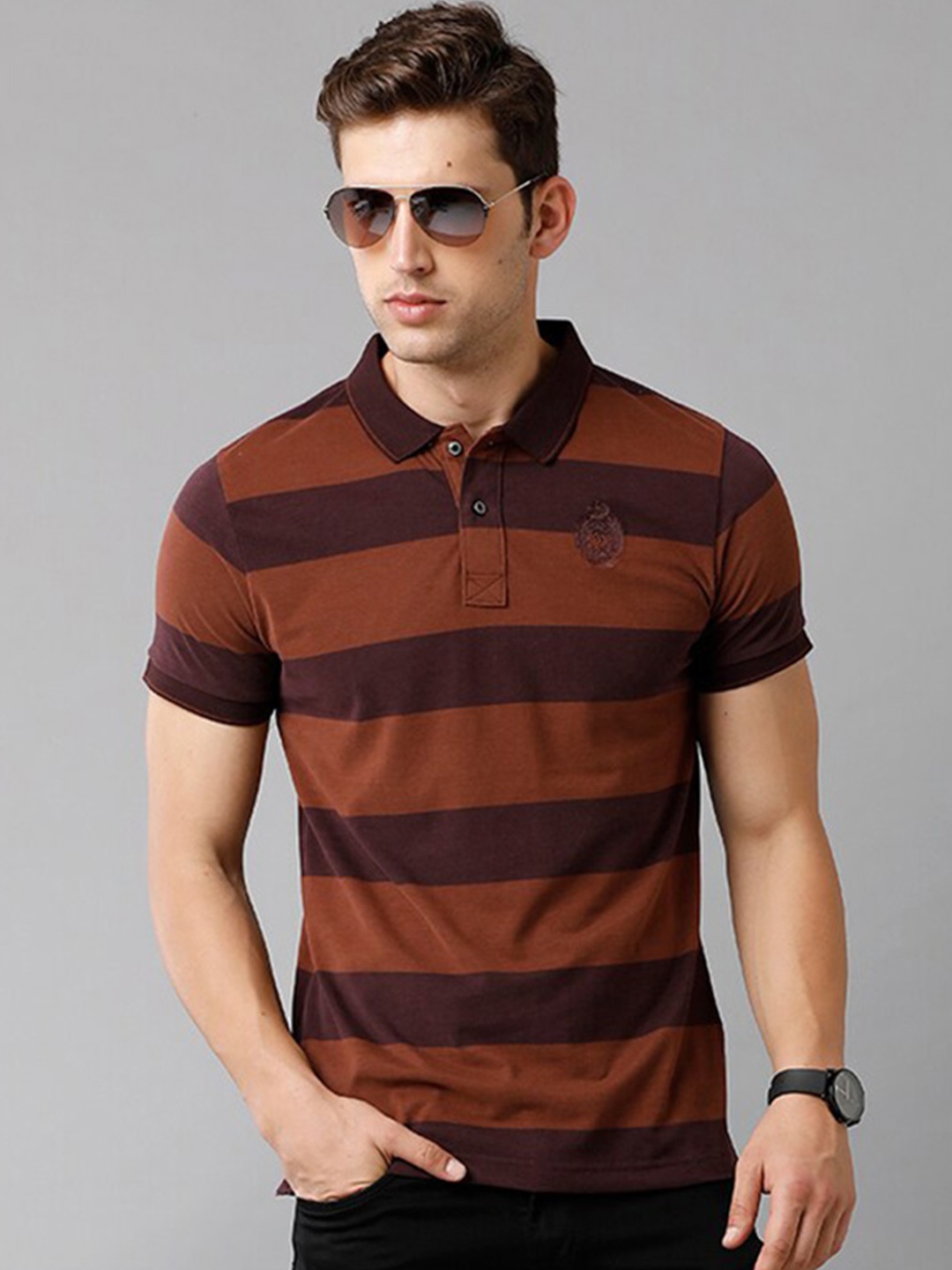 

Classic Polo Men Brown Striped Polo Collar Slim Fit T-shirt